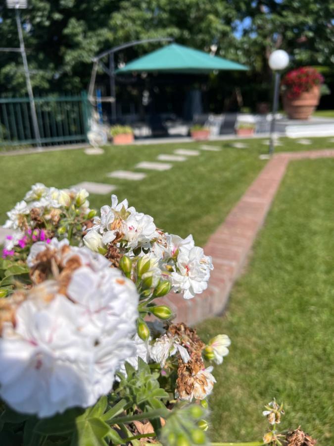 Villa Albina Rom Eksteriør billede