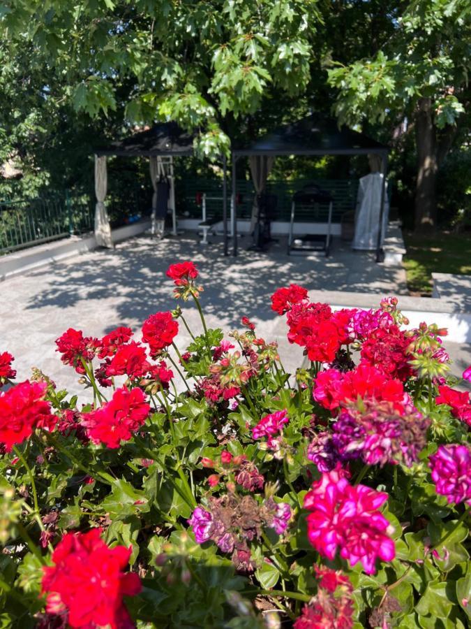 Villa Albina Rom Eksteriør billede