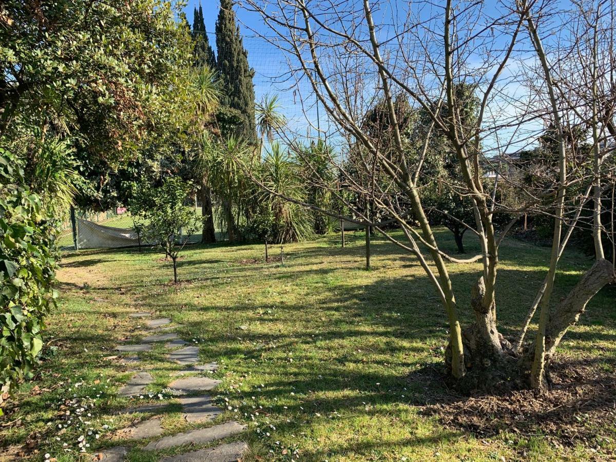 Villa Albina Rom Eksteriør billede